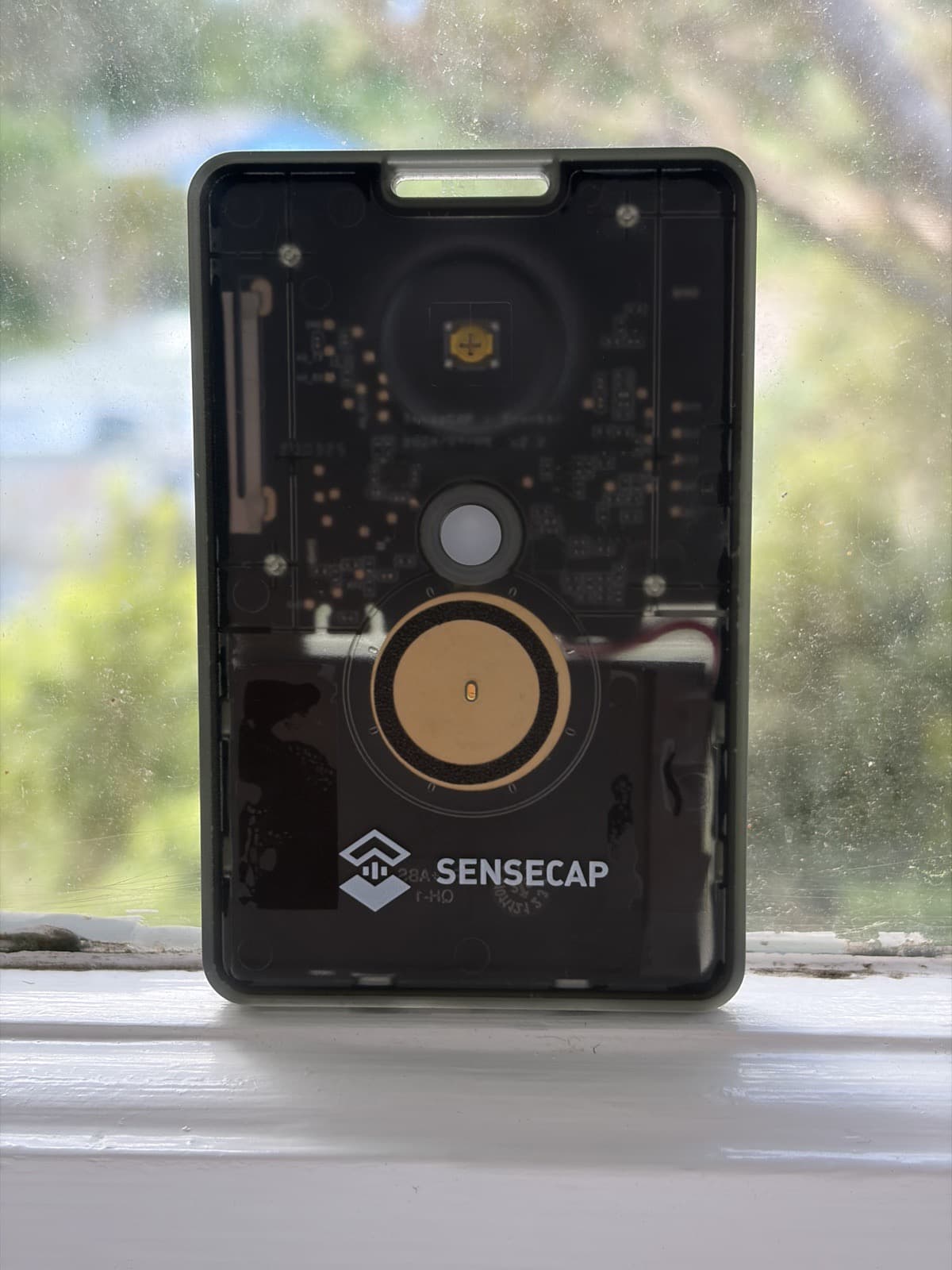 Getting on the Wellington Meshtastic mesh (and into Home Assistant)