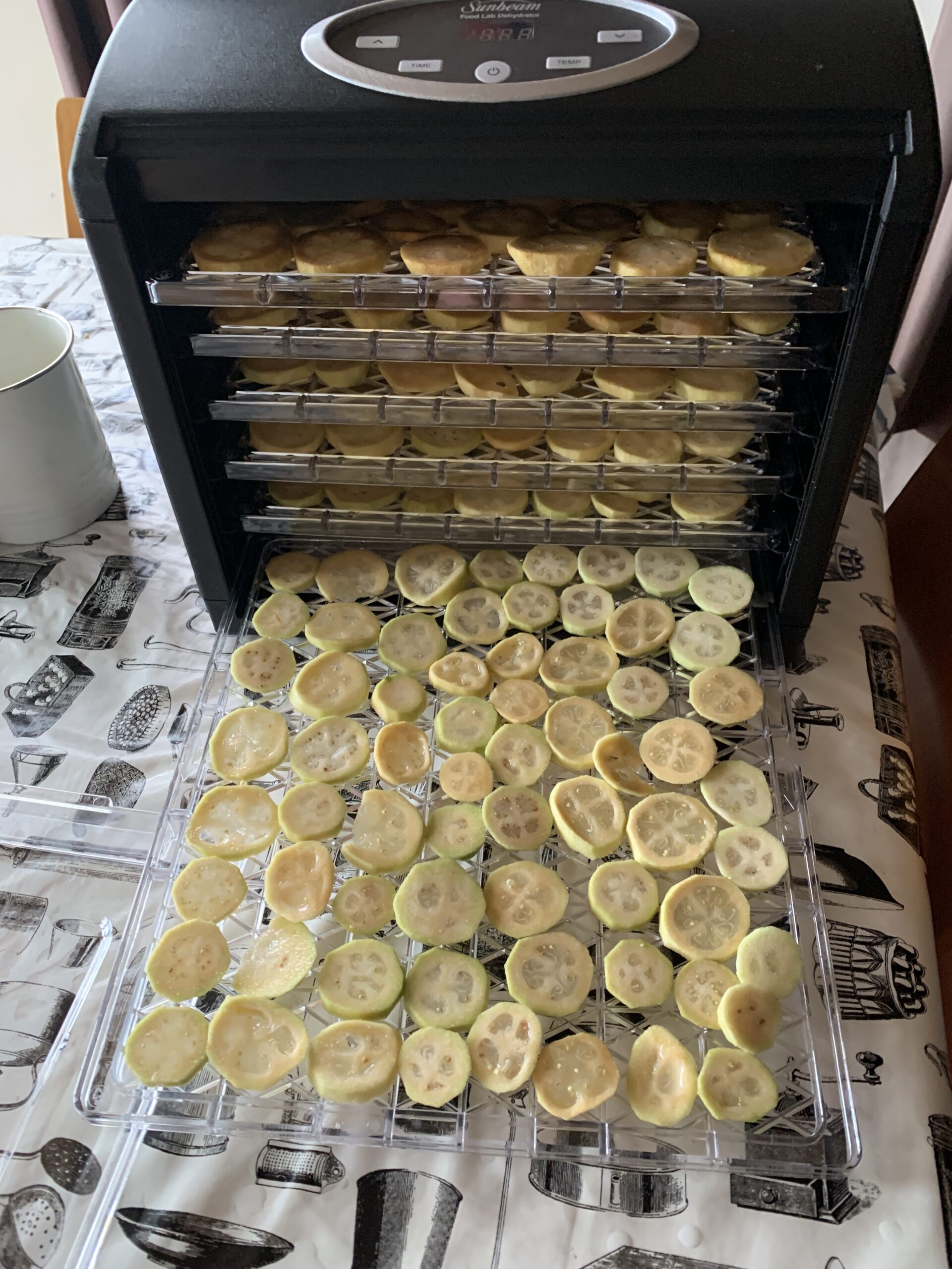 A dehydrator filled with skinned and sliced feijoas ready to start.